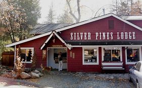 Silver Pines Lodge Idyllwild